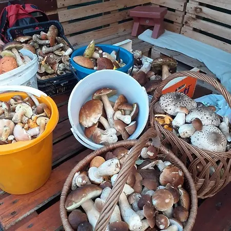 Nad Jeziorem/seehaus 3 Feriehus *