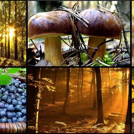 Feriehus Nad Jeziorem/seehaus 3 Letowo (West Pomeranian)