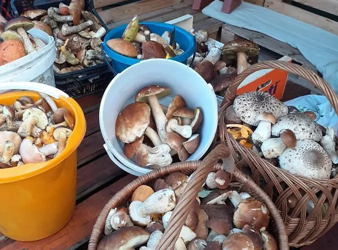 Nad Jeziorem/seehaus 3 Dom wakacyjny *