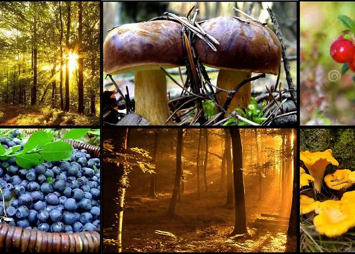 Dom wakacyjny Nad Jeziorem/seehaus 3 Letowo (West Pomeranian)